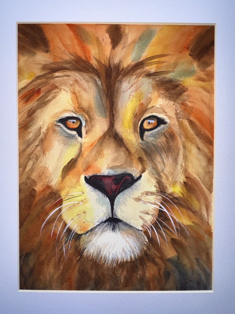 Lion (Panthera leo) — Presence